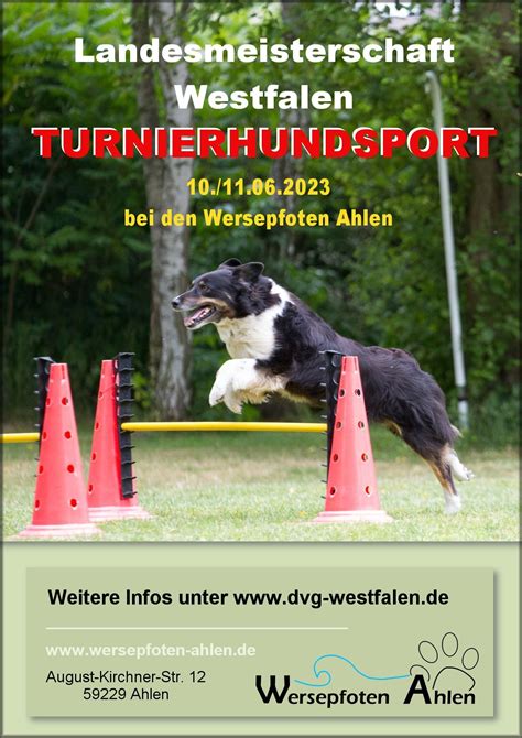 DVG LV Westfalen e.V. – Hundesport von A – Z